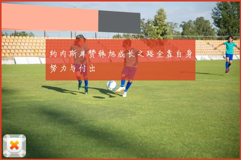约内斯库赞韩旭成长之路全靠自身努力与付出